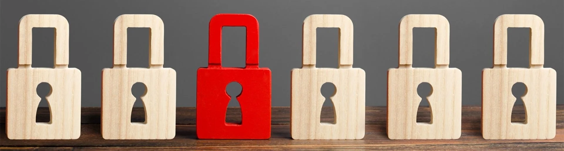 indola egypt privacy policy